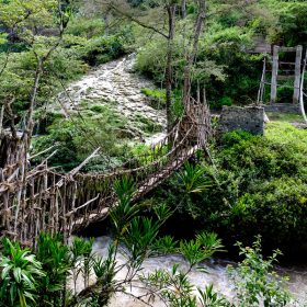 bridge made of natural materials