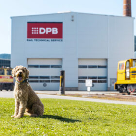 Hund vor der Werkshalle von DPB. Sujet im Rahmen der Unternehmensfotografie, corporate photography DPB